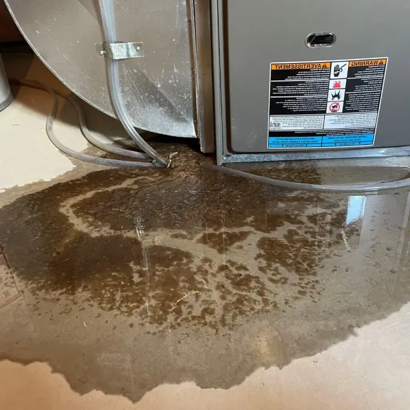 Pipe Burst and Leak Restoration in Kent, CT